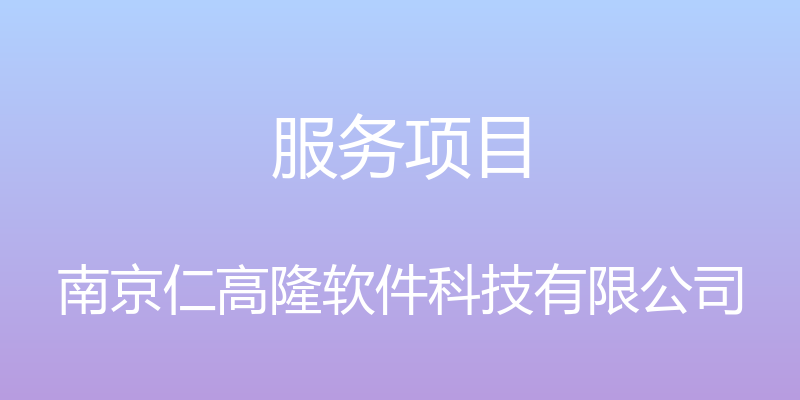 服务项目 - 南京仁高隆软件科技有限公司